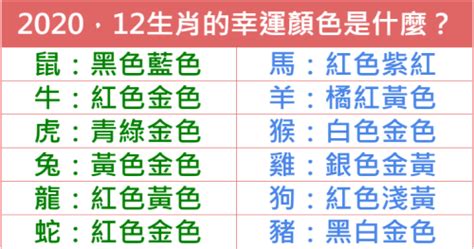 2024生肖幸運色|【2024生肖幸運色】2024生肖幸運色搶先看！提升財運、化解太。